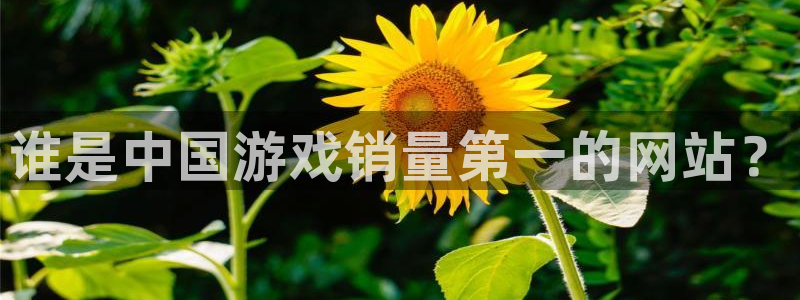 极悦娱乐是什么：谁是中国游戏销量第一的网站？