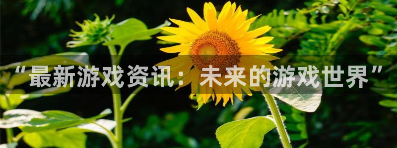 极悦娱乐注册账号：“最新游戏资讯：未来的游戏世界”