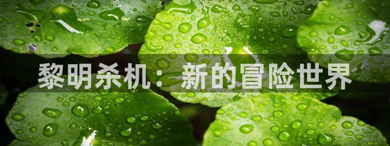 极悦娱乐平台：黎明杀机：新的冒险世界