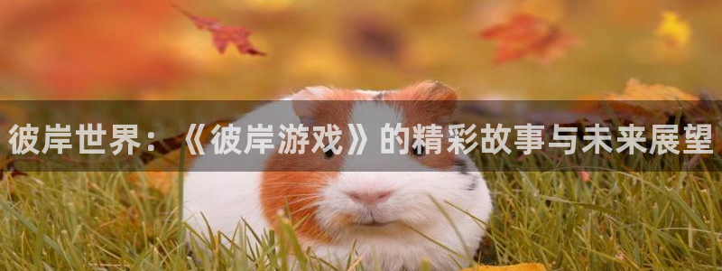 极悦娱乐线路测试：彼岸世界：《彼岸游戏》的精彩故事与未来展望