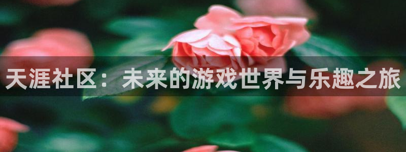 极悦娱乐平台注册：天涯社区：未来的游戏世界与乐趣之旅