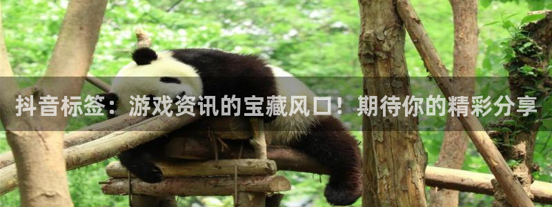 极悦娱乐app下载：抖音标签：游戏资讯的宝藏风口！期待你的精