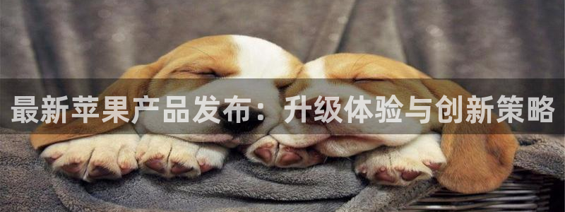 极悦娱乐怎么注册：最新苹果产品发布：升级体验与创新策略