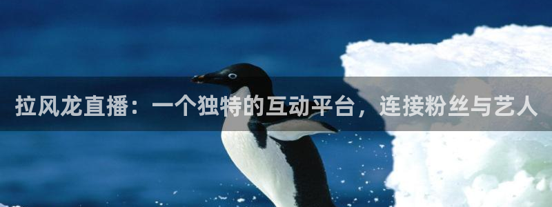 劲爆体育在线直播观看上海三打一：拉风龙直播：一个独特的互动平台，连接粉丝与艺人