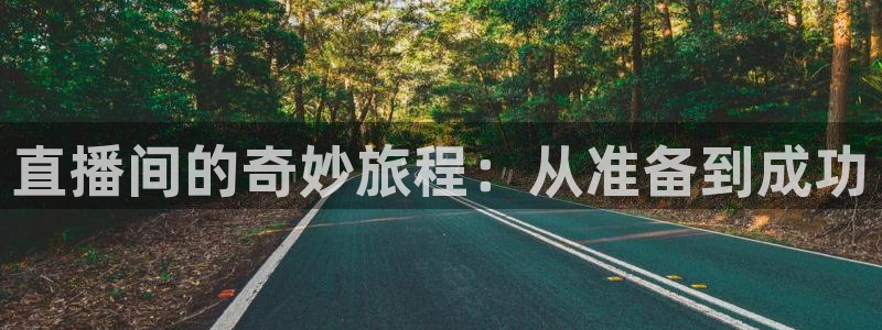 劲爆体育直播高清：直播间的奇妙旅程：从准备到成功