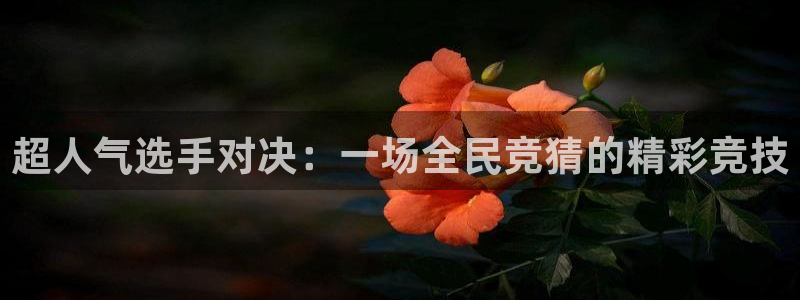劲爆体育免费直播nba边看边玩1.新通道.club：超人气选手对决：一场全民竞猜的精彩竞技