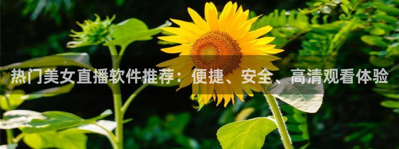 劲爆体育直播观看：热门美女直播软件推荐：便捷、安全、高清观看体验